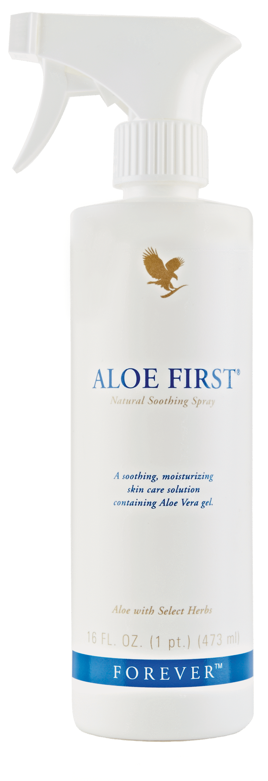 040_AloeFirst