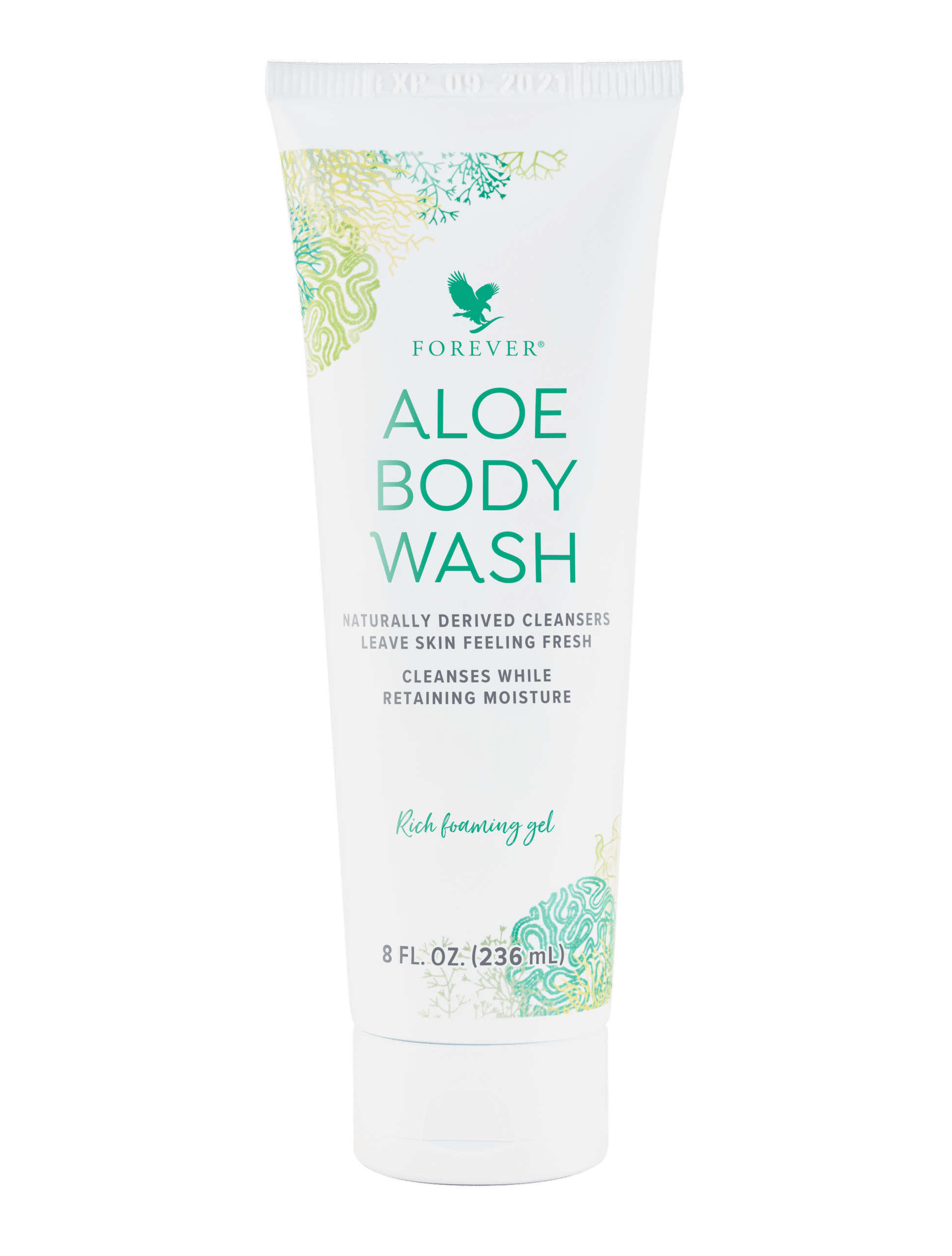 646_AloeBody Wash